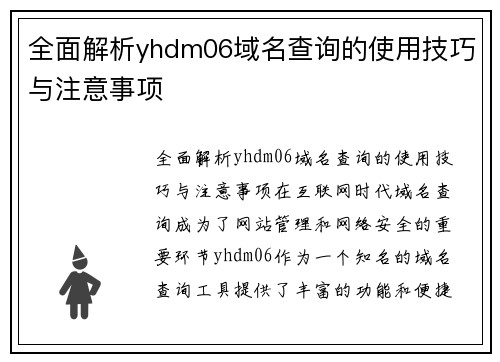 全面解析yhdm06域名查询的使用技巧与注意事项